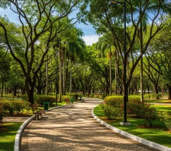 Onde fica o Parque da Cidade em Natal – RN?